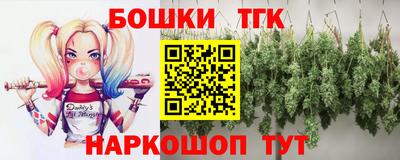 МДПВ Лесосибирск