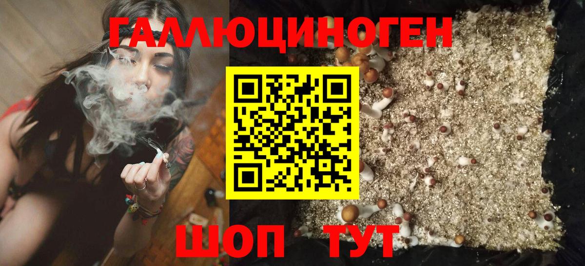 Галлюциногенные грибы ЛСД Электрогорск