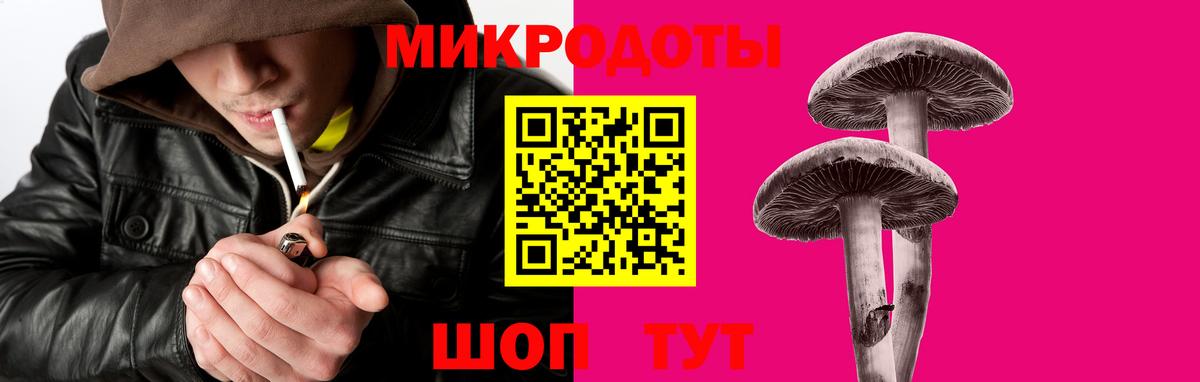 Электрогорск  закладка  Вход с VPN  Псилоцибиновые грибы мухоморы 
